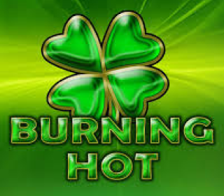 Burning Hot logo