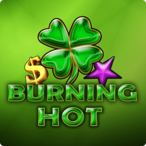 Burning Hot logo